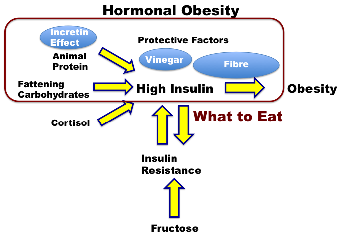 Insulin Resistance Food Chart