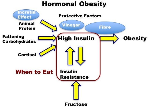NewHOT11-When-to-Eat-1