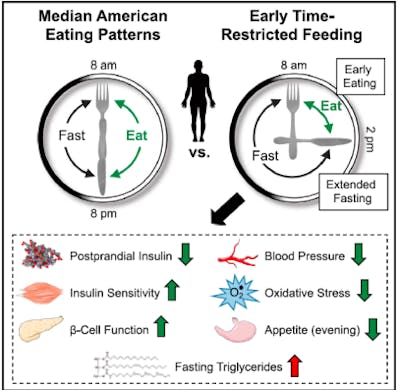 TimeRestrictedEating