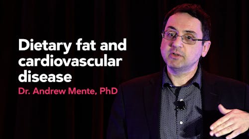 Dietary fat and cardiovascular disease