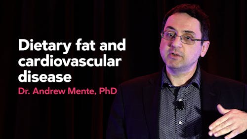 Dietary fat and cardiovascular disease