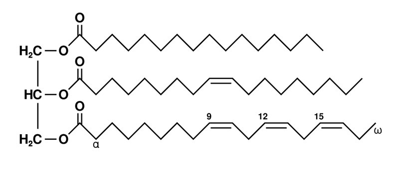 Fat_triglyceride_shorthand_formula