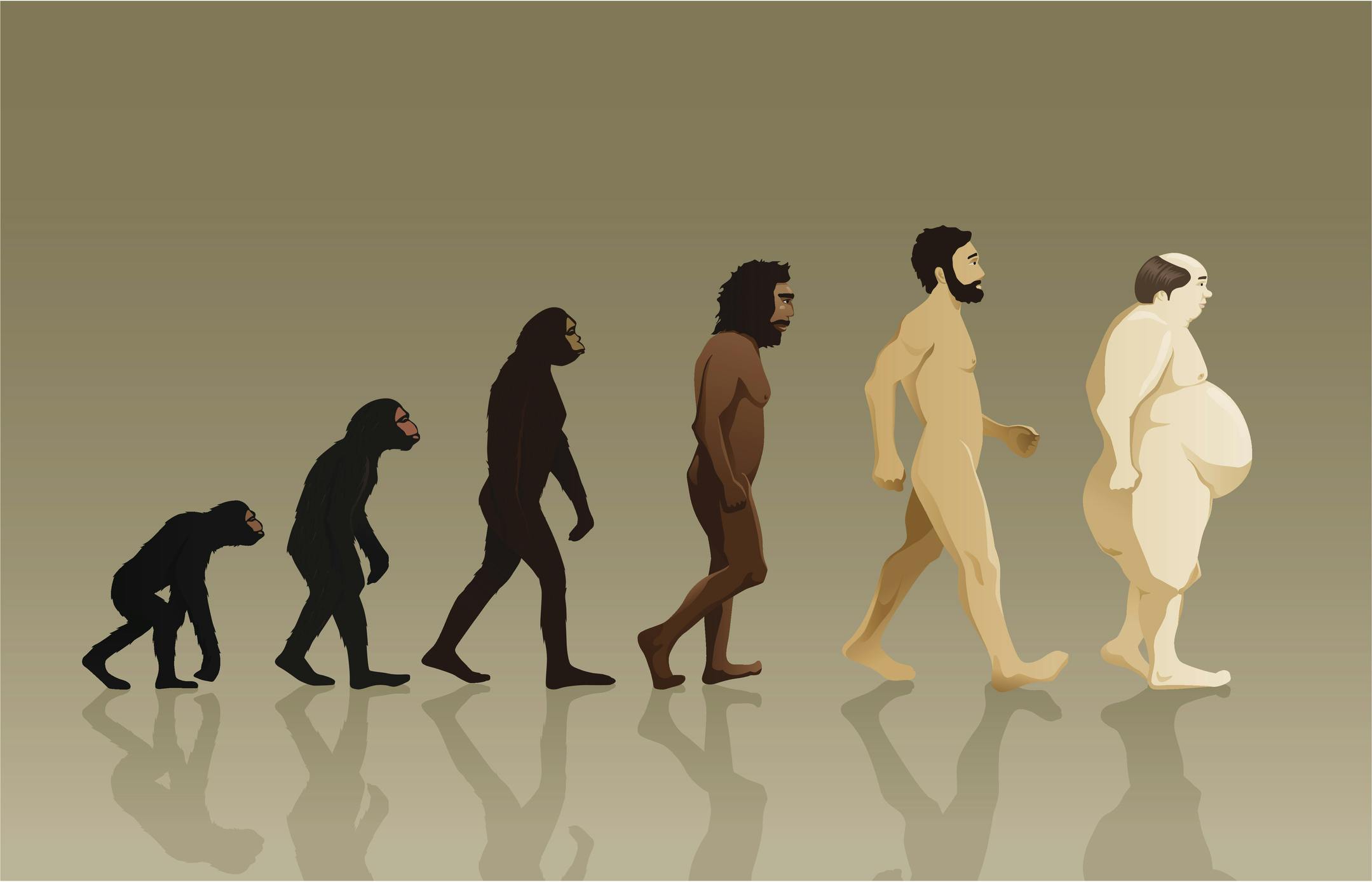 Homo being. Эволюция Дарвин хомо. Human Evolution Эволюция человека. Эволюция Дарвина хомо сапиенс. Эволюция человека до хомо сапиенс.