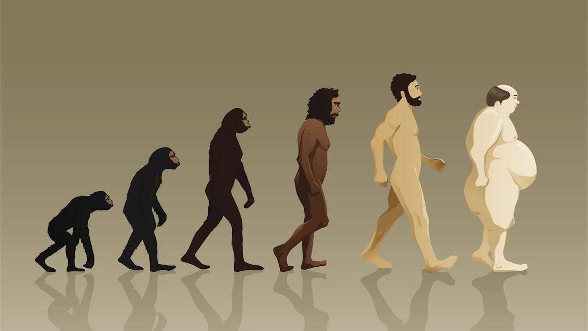 Who is to blame for the obesity epidemic?