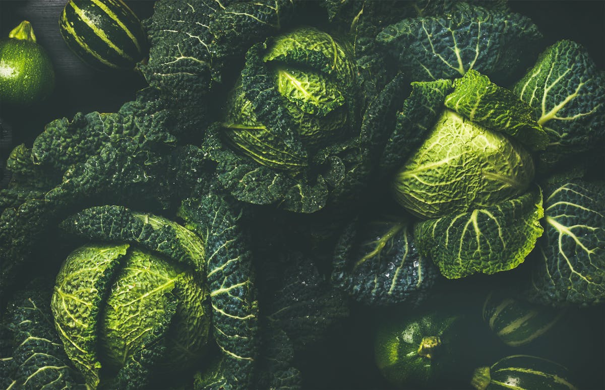 Carbohydrates on a keto or low carb diet