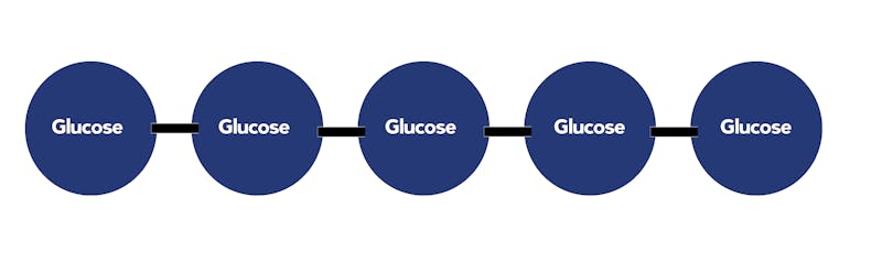 starch-diagram