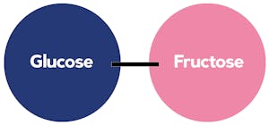 sucrose-structure2