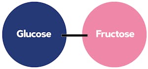 sucrose-structure2
