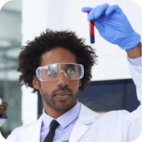 Low carb and cholesterol