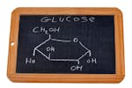 Starch structure