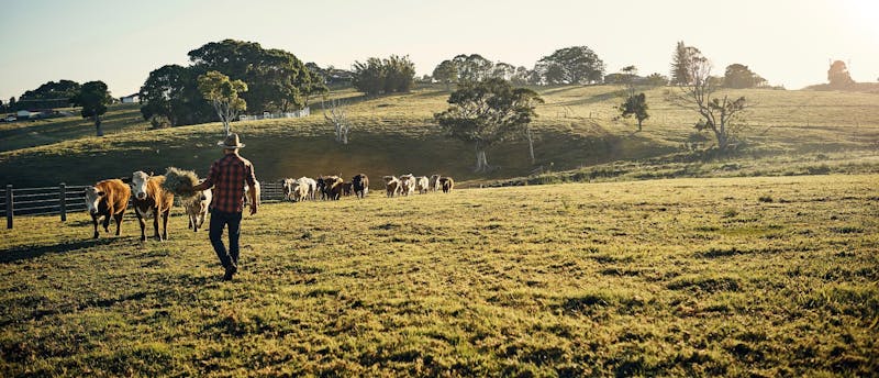 Shot of a young farmer
