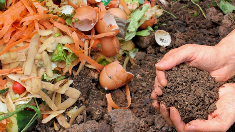 Compost with composted earth