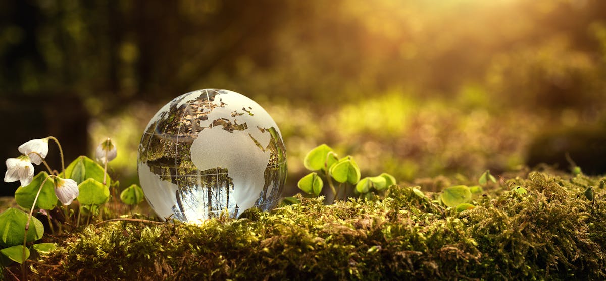 A practical guide to staying environmentally friendly on low carb and keto