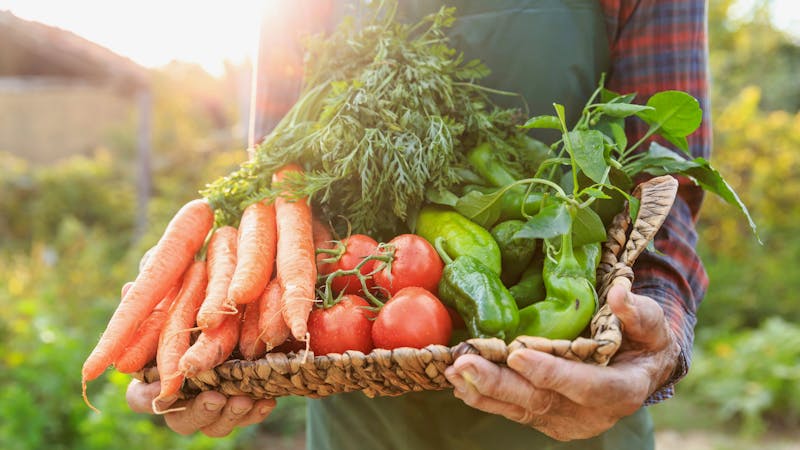 Mature man carrying vegetables in basket