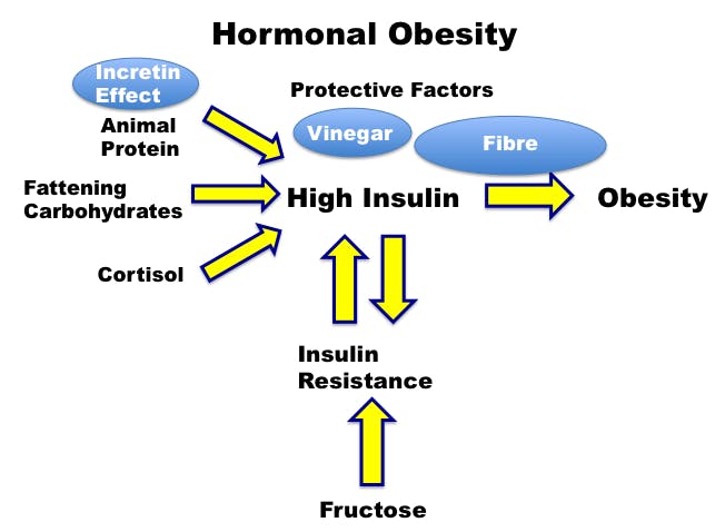 ideal protein motivation