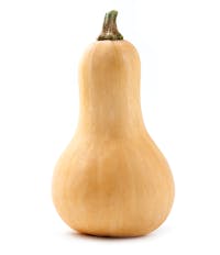 Butternut squash