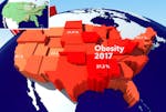 fetma i USA 1984-2017