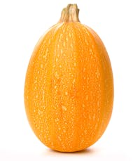Spaghetti squash