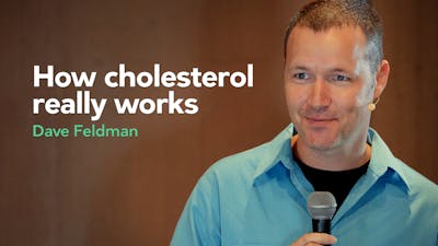 How cholesterol really works – Dave Feldman
