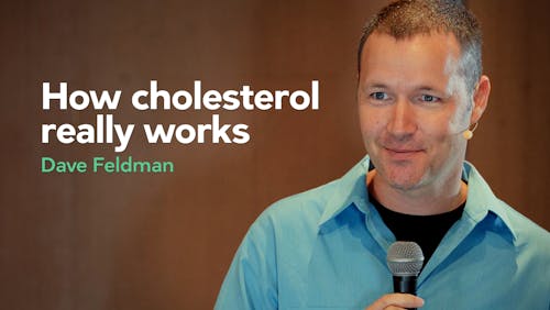 How cholesterol really works – Dave Feldman