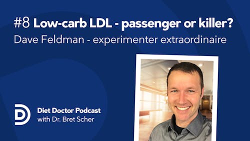 Diet Doctor Podcast #8 – Dave Feldman