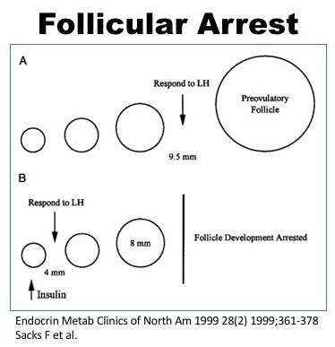 Follicle Arrest