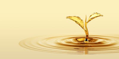 Vegetable oils: Are they healthy?
