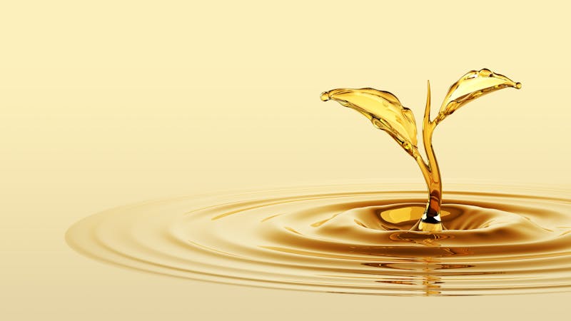 Vegetable Oils guide by Jenni