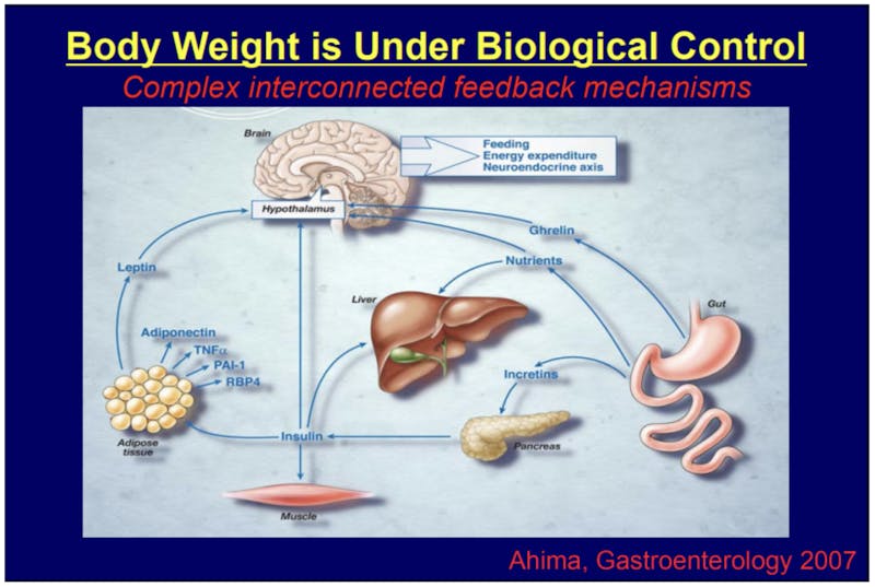 Body weight is under biological control