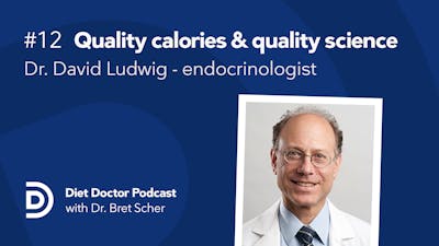 Diet Doctor podcast #12 with Dr. David Ludwig