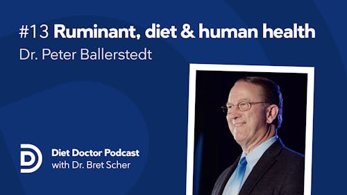 Diet Doctor podcast #13 with Dr. Peter Ballerstedt