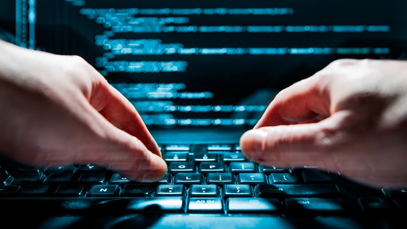 programmer2.jpg?auto=compress%2Cformat&w=800&h=450&fit=crop