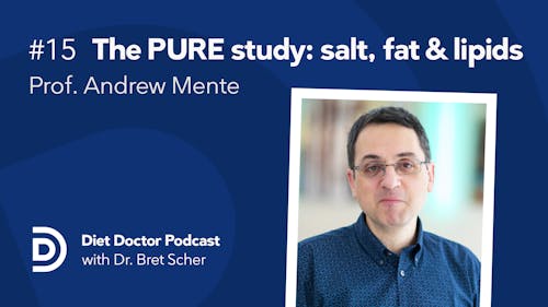 Diet Doctor podcast #15 with Prof. Andrew Mente