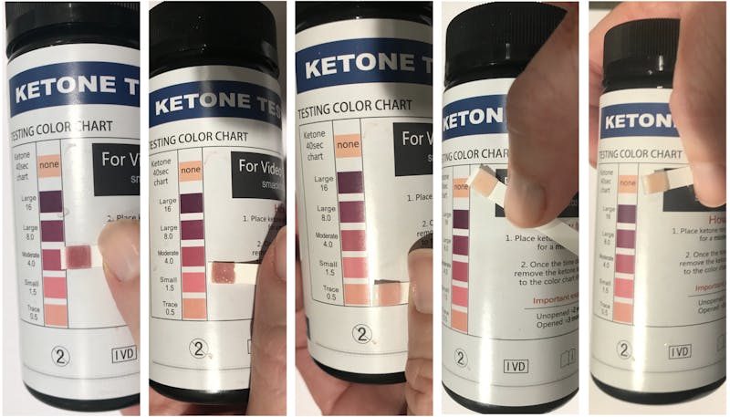 Keto Blood Tester Kit  e-BKetone Ketone Testing — ZEST KETO