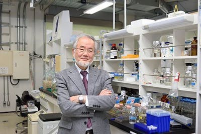 ohsumi-in-lab-1