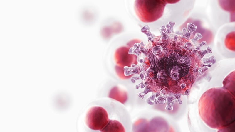 Cancer Cell