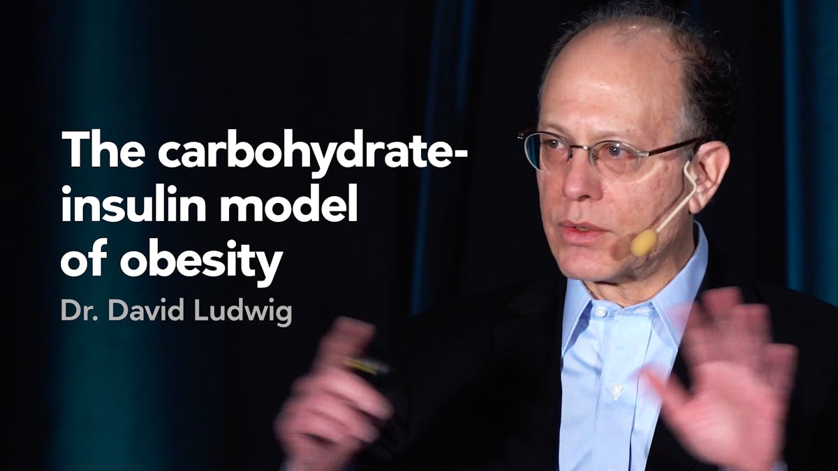 The physiological adaptation to low carb