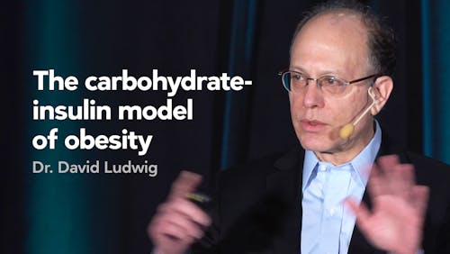The carbohydrate-insulin model of obesity — Dr. David Ludwig