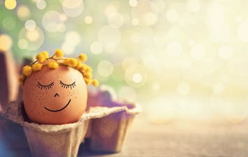 Low carb and mental health: The food-mood connection