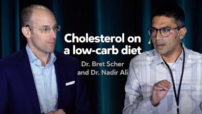 Cholesterol on a low-carb diet