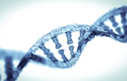 Study: Gene helped humans adapt to higher-carb world — but 50% of us don't have it