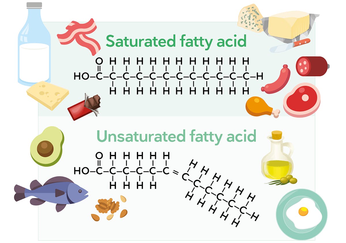 A user guide to saturated fat – Diet Doctor