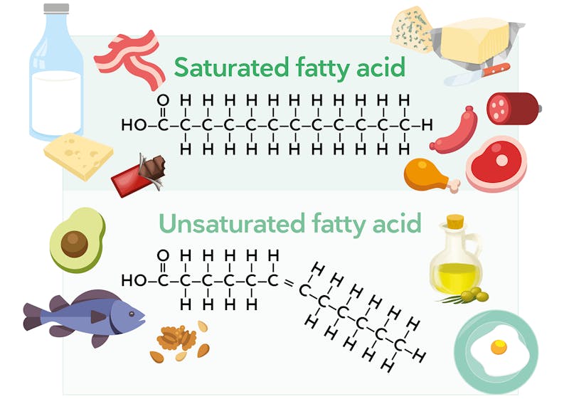 what percentage your diet should from unsaturated fat