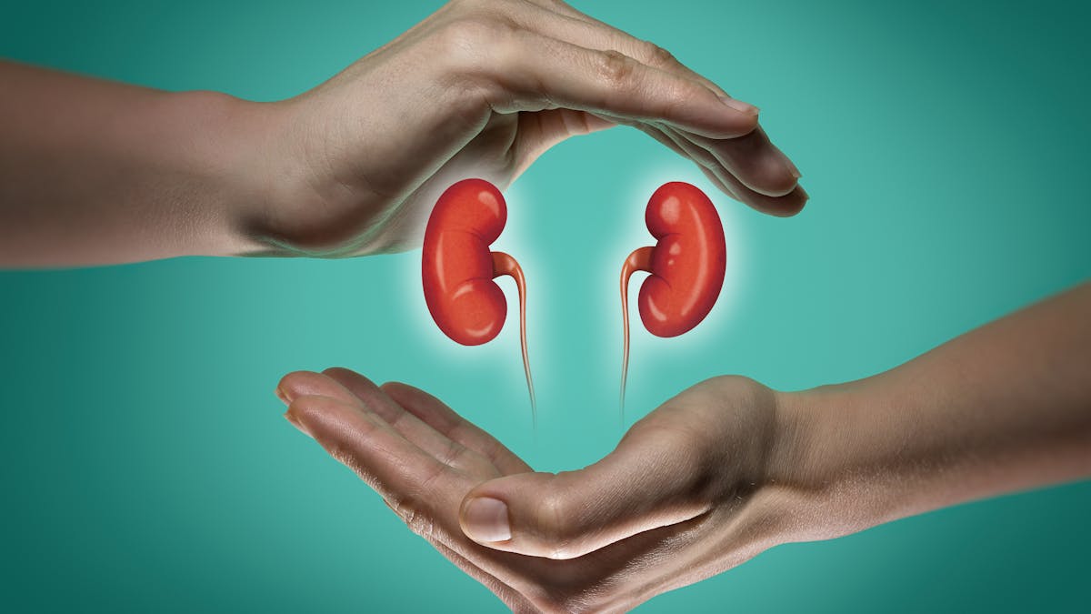 A low-carb diet and your kidneys: What you need to know