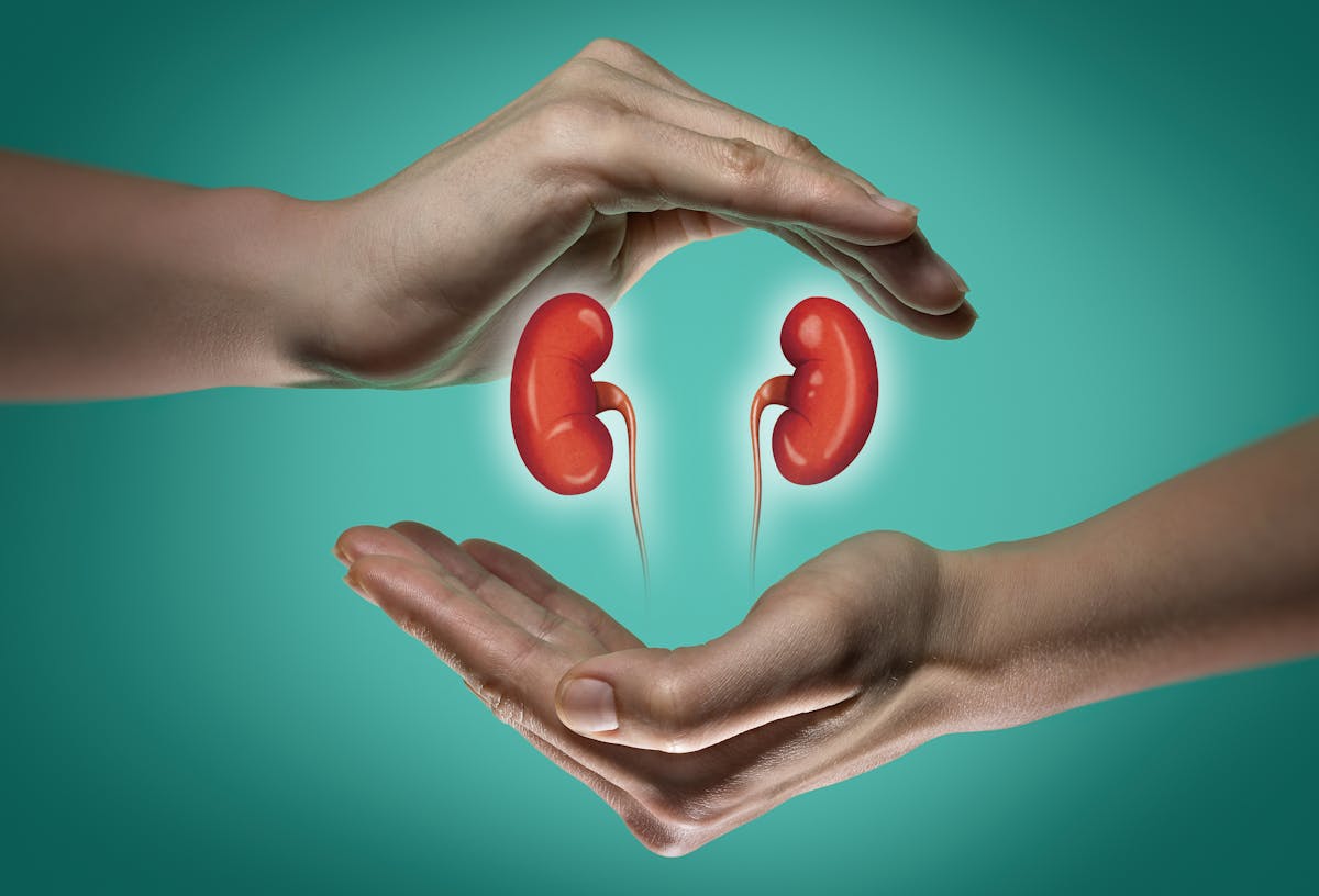 What you need to know about a low-carb diet and your kidneys