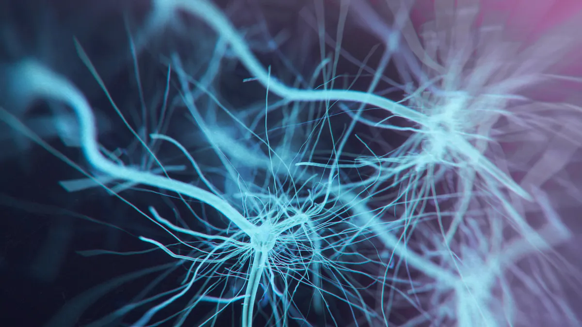 Does LDL play an important role in peripheral nerve function?