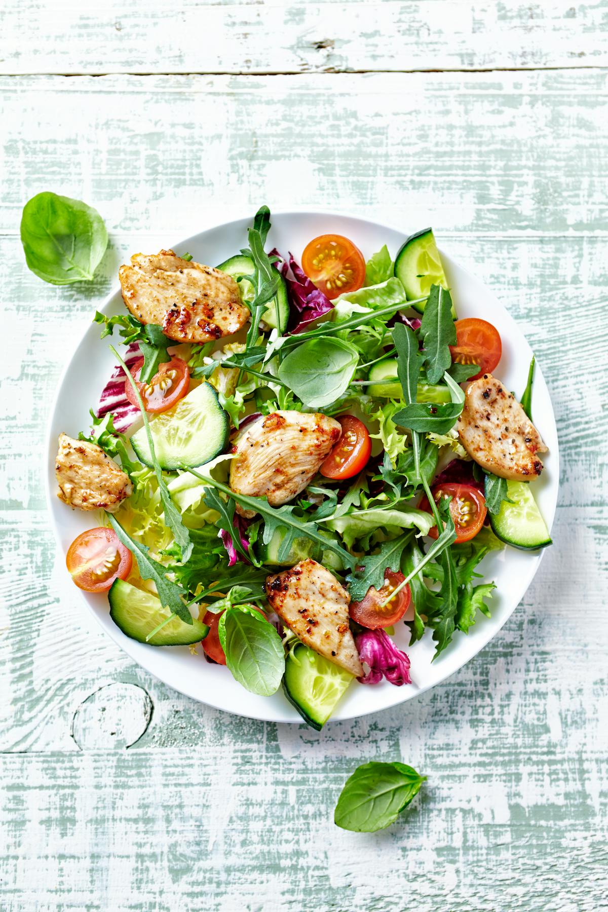 Chicken salad with leaf vegetables and cherry tomatoes