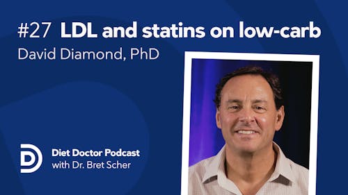 Diet Doctor Podcast #27 – David Diamond, PhD