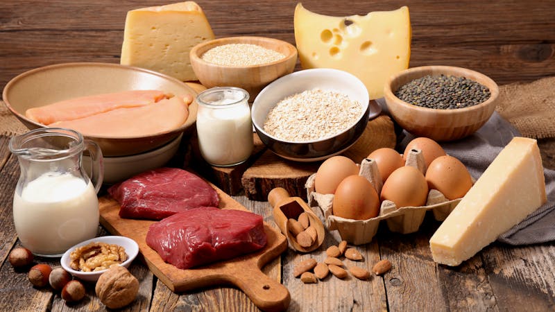 高食品蛋白质素源