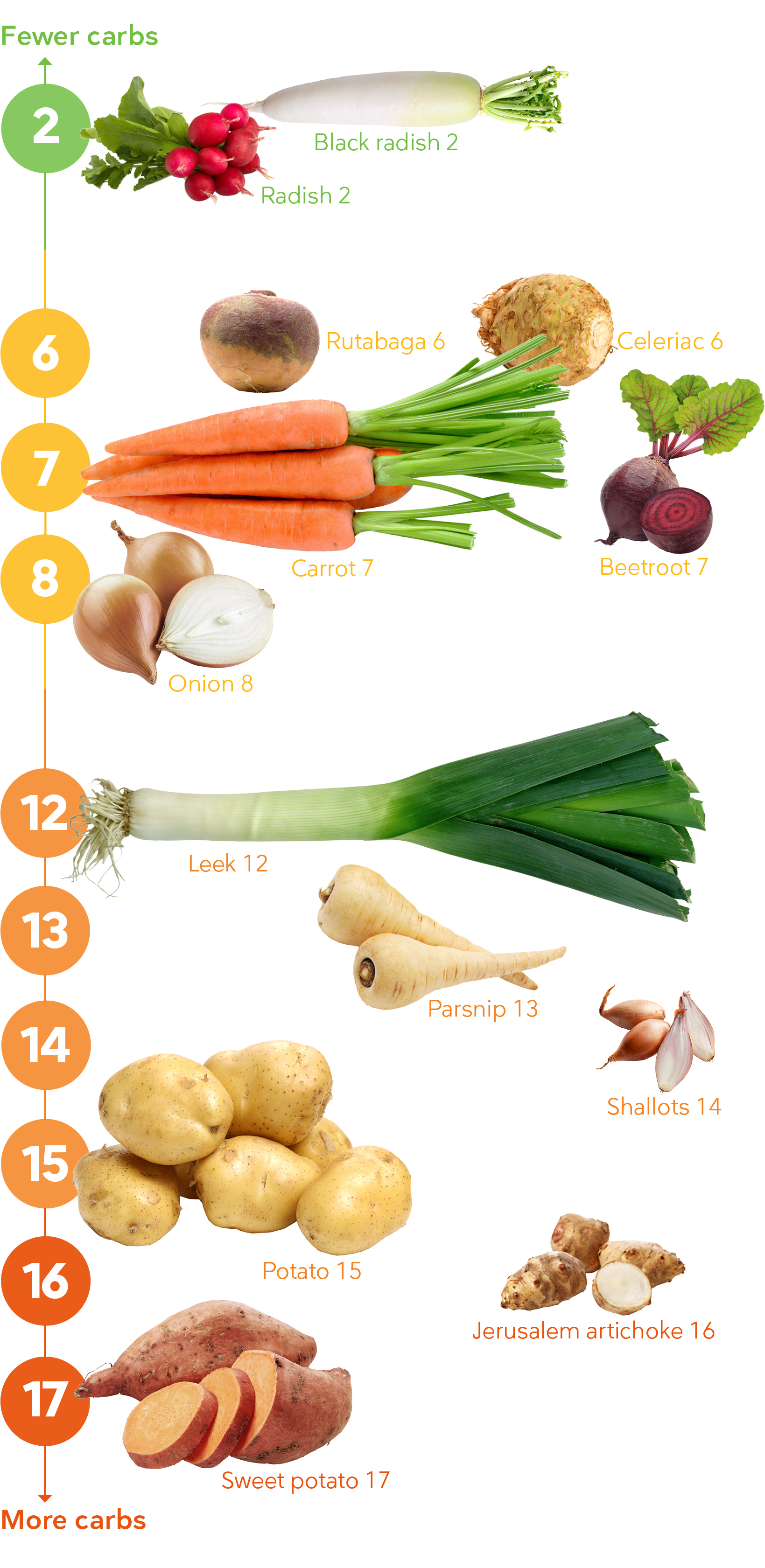 Keto Vegetables – The Visual Guide to the Best and Worst ...